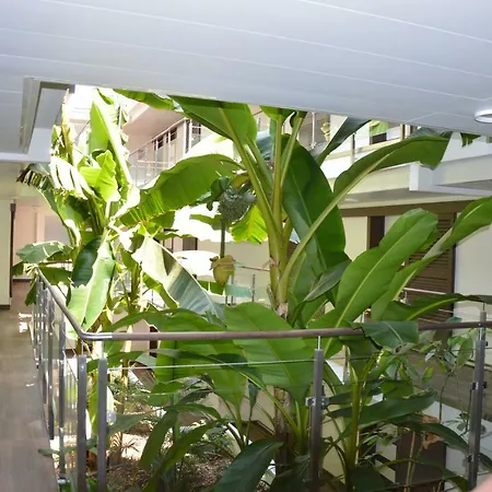 Zenazur Apartament *