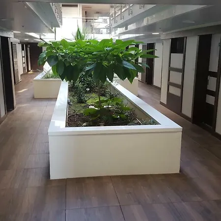 Studio Zenazur