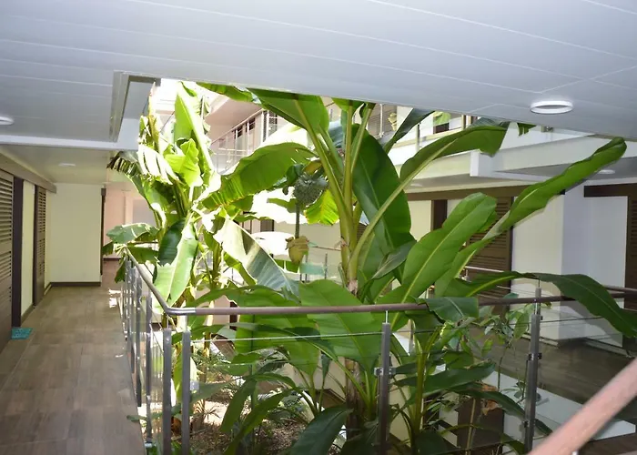 Zenazur Διαμέρισμα *